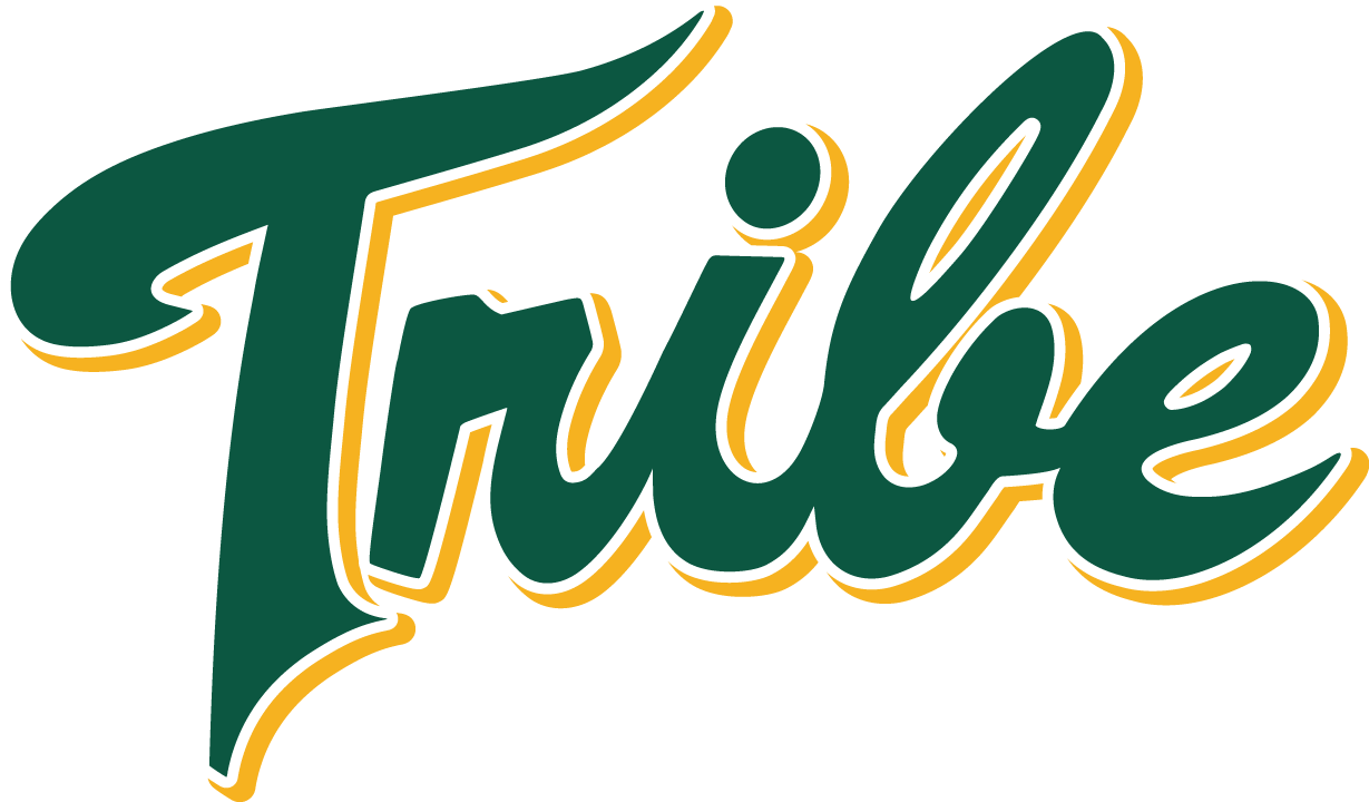 William and Mary Tribe 2016-2017 Alternate Logo t shirts iron on transfers